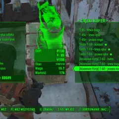 Ekwipunek w Fallout 4: zbroje T-45, T-51, T-60 i Tesla T-59. Szukasz fallout 4 kody?
