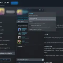 Okno statusu online na Steam z opcjami: Online, Zaraz wracam, Niewidoczny, Offline, Nie przeszkadzać.