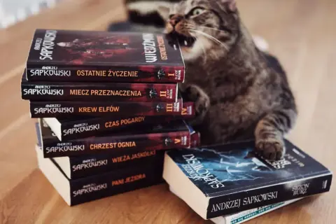 Kot gryzie stos książek Andrzeja Sapkowskiego, tworząc własną, dziką chronologię wiedźmina.