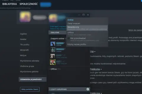 Okno statusu online na Steam z opcjami: Online, Zaraz wracam, Niewidoczny, Offline, Nie przeszkadzać.