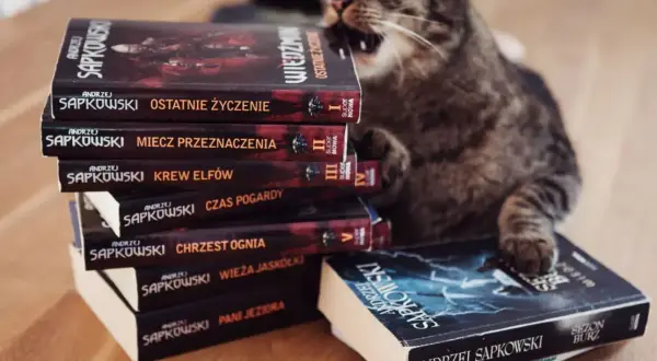Kot gryzie stos książek Andrzeja Sapkowskiego, tworząc własną, dziką chronologię wiedźmina.