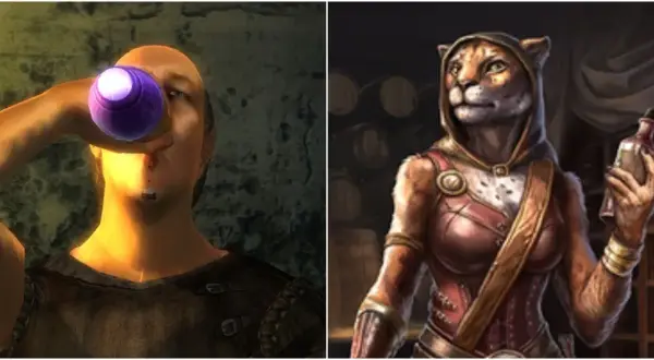 Człowiek pije podejrzany fioletowy płyn, a obok Khajiitka trzyma butelkę, być może z tą samą niebezpieczną substancją, skooma.