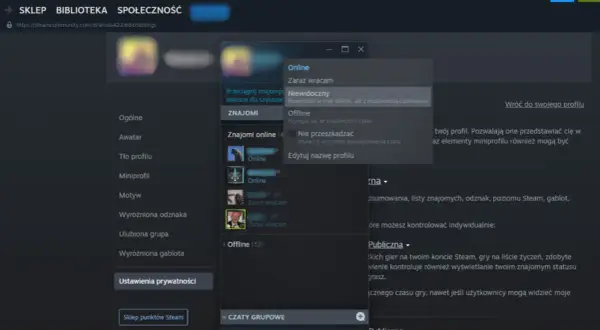 Okno statusu online na Steam z opcjami: Online, Zaraz wracam, Niewidoczny, Offline, Nie przeszkadzać.
