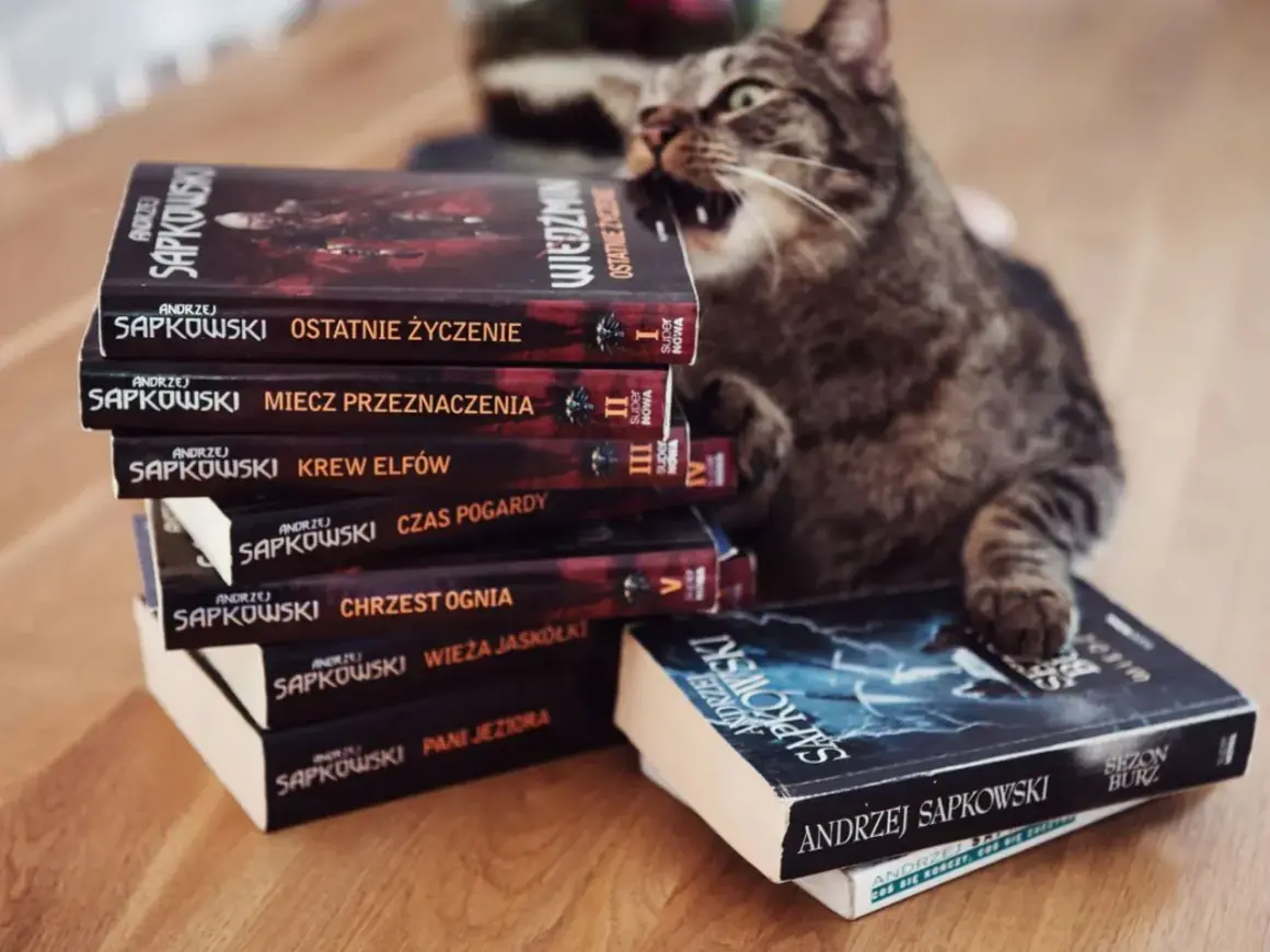 Kot gryzie stos książek Andrzeja Sapkowskiego, tworząc własną, dziką chronologię wiedźmina.