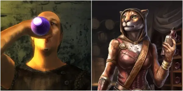 Człowiek pije podejrzany fioletowy płyn, a obok Khajiitka trzyma butelkę, być może z tą samą niebezpieczną substancją, skooma.