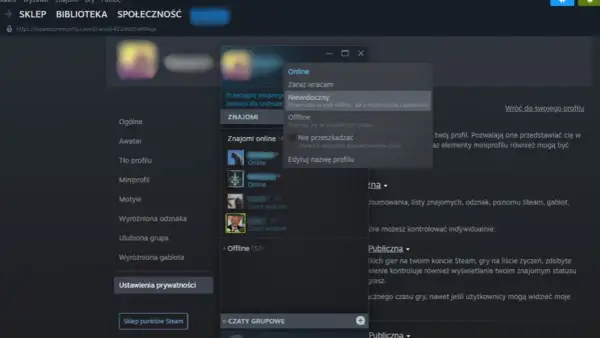 Okno statusu online na Steam z opcjami: Online, Zaraz wracam, Niewidoczny, Offline, Nie przeszkadzać.